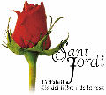 Letteratura in fiore a Barcellona per Sant Jordi, festa dei libri e delle rose.